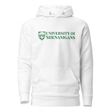 University of Shenanigans Soft Unisex Hoodie